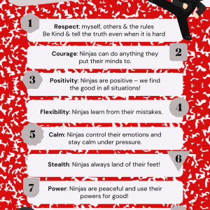 Ninja Behaviour Code Poster